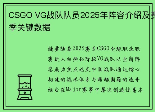 CSGO VG战队队员2025年阵容介绍及赛季关键数据